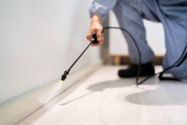 Rodent Entry Point Assessment in Truckee
