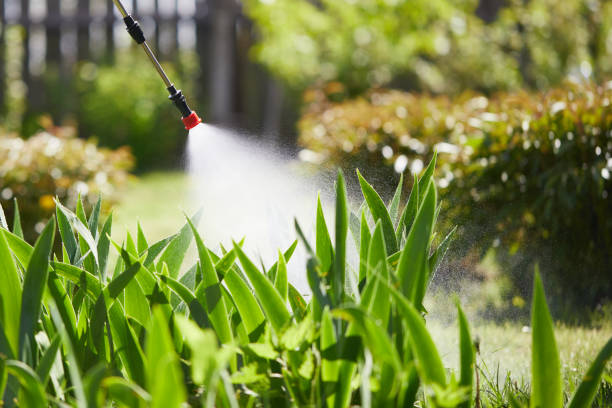 Tamper-Resistant Bait Stations for Rodents in Truckee