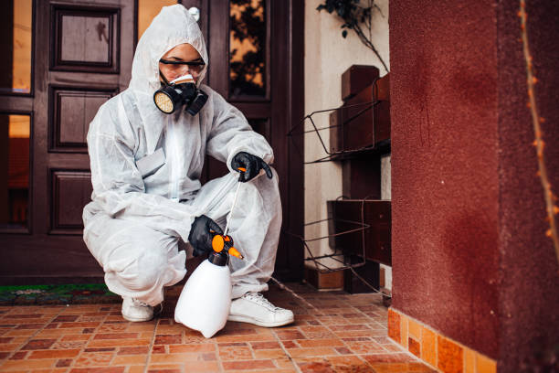 Attic and Crawl Space Rodent Treatment in Truckee