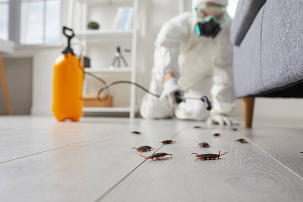 Commercial Rodent Management in Truckee